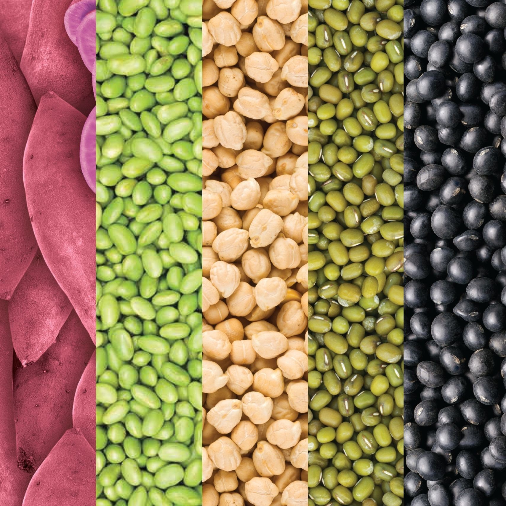 Eco Organics pasta range